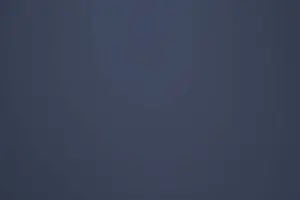 Blueberries