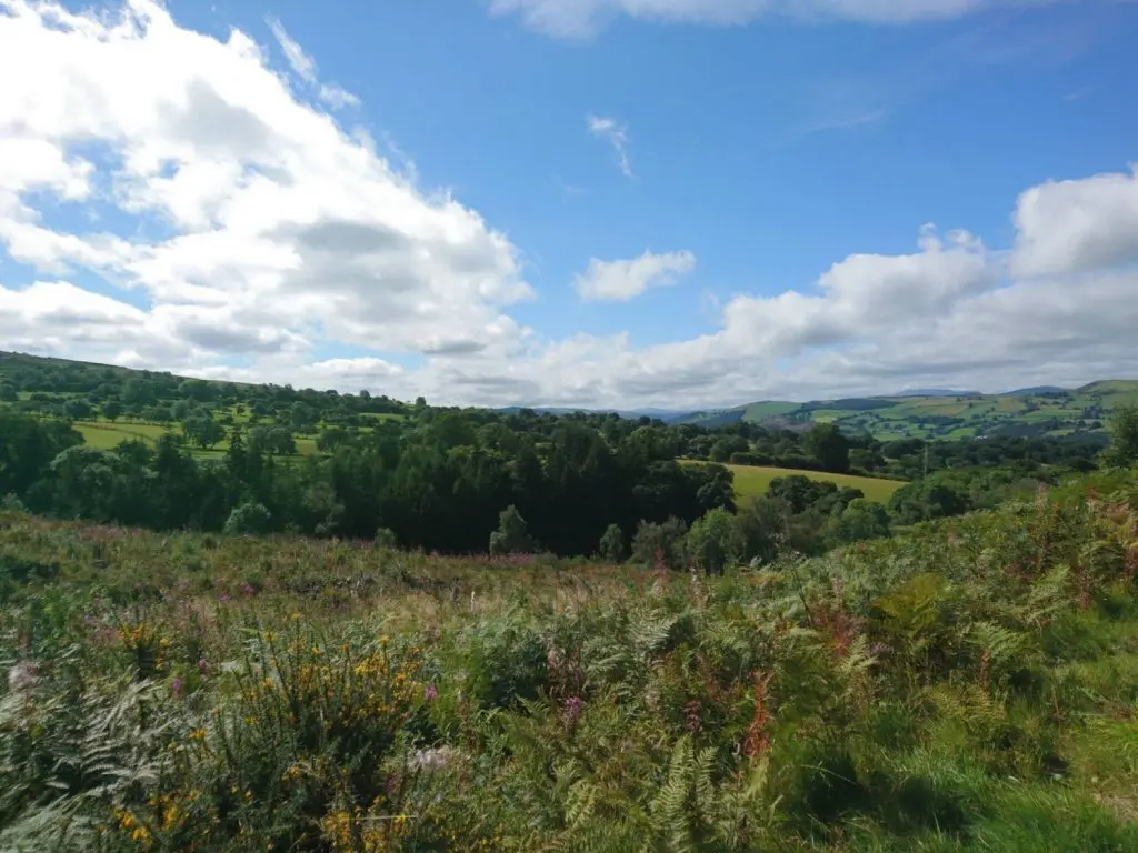 Greener glamping
