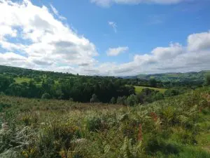 Greener glamping