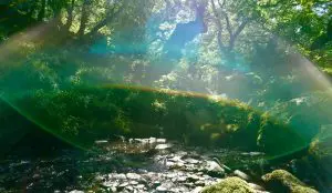 Greener glamping