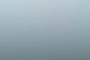 Trip 01