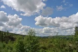 Dsc 1163