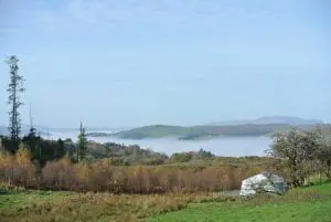 Dsc 1999