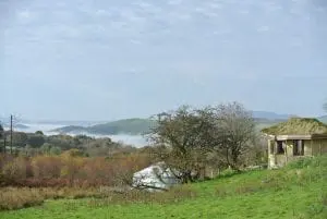 Dsc 2074