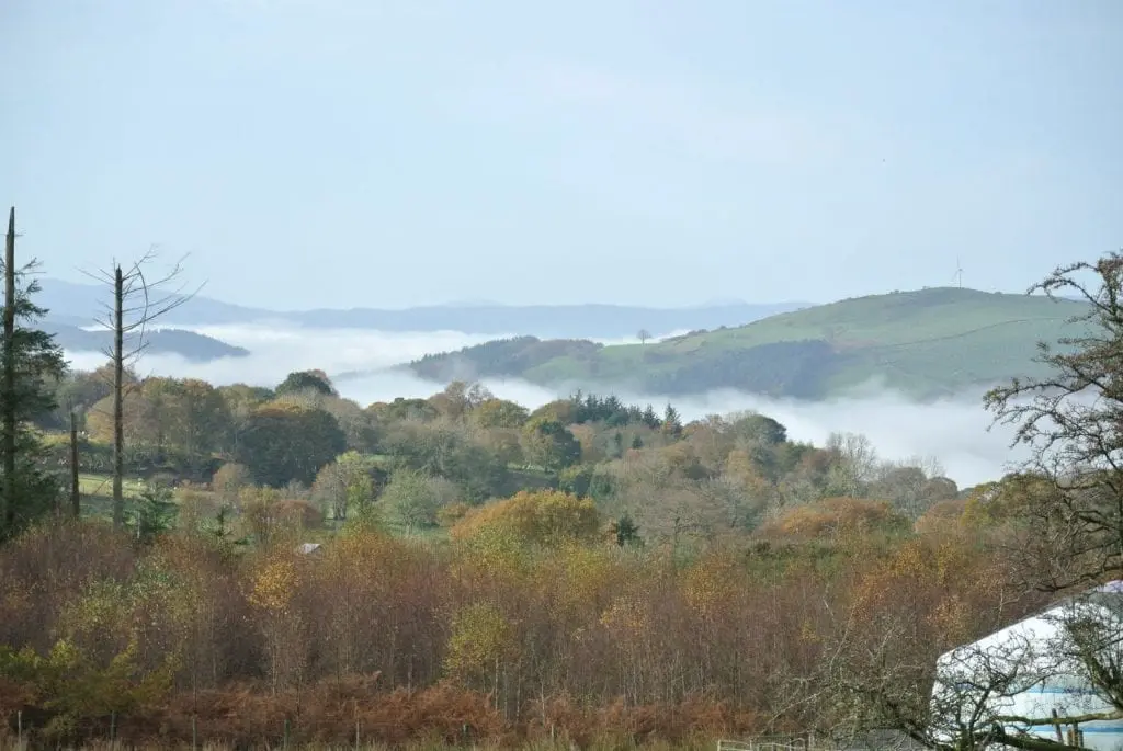 Dsc 2077