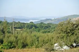 Dsc 2761