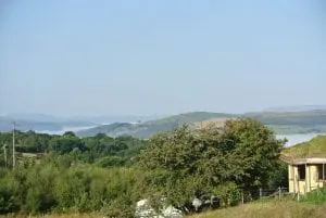 Dsc 2768