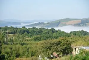 Dsc 2784