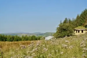 Dsc 2809