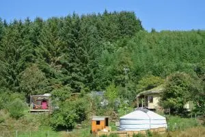 Dsc 3068