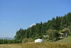Dsc 3077