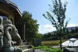 Ganesh keeping an eye on things at ty mam mawr off grid eco retreat centre