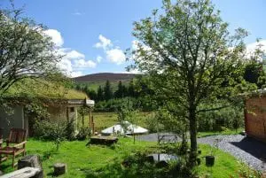 Rowan berries moel y henfaes and ty mam mawr straw bale roundhouse with the yurt in the background view 2
