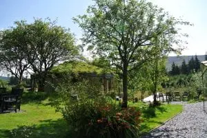 Rowan trees around the straw bale roundhouse at ty mam mawr eco retreat centre high in the berwyn mountains overlooking the dee valley in north wales