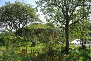 The straw bale roundhouse blending in nicely with nature at ty mam mawr off grid eco retreat centre