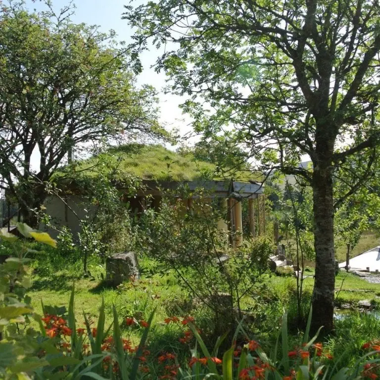 The straw bale roundhouse blending in nicely with nature at Ty Mam Mawr off grid eco retreat centre The straw bale roundhouse blending in nicely with nature at Ty Mam Mawr off grid eco retreat centre