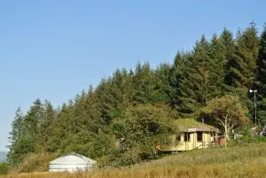Ty mam mawr off grid eco retreat centre straw bale round house and mongolian yurt in dee valley berwyn mountains north wales
