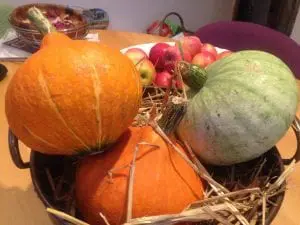 Harvest bounty