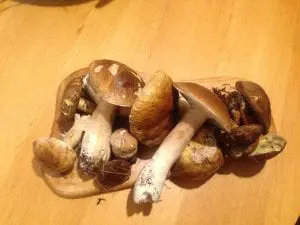 Harvest bounty