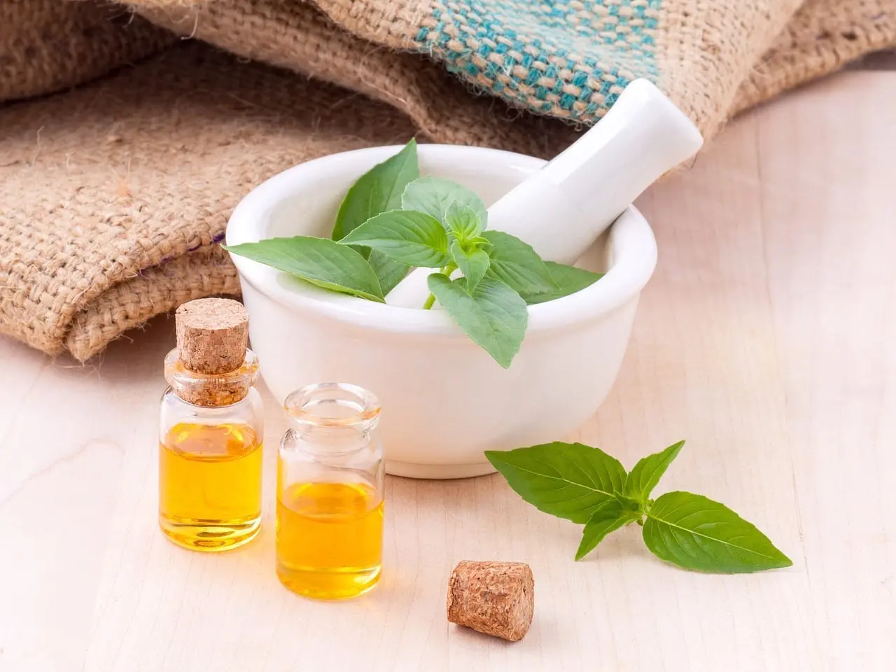 Healing weeds – summer fire retreat