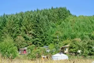 A view of both yurts from the field 1 off grid sustainable eco glampsite and glamping