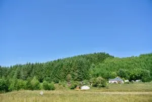 A view of both yurts from the field off grid sustainable eco glampsite and glamping
