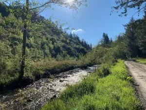 Cynwyd forest afon trystion off grid sustainable eco glampsite and glamping