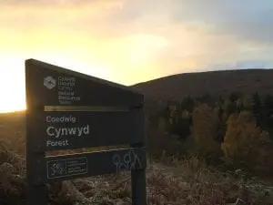 Cynwyd forest sign and moel henfaes off grid sustainable eco glampsite and glamping