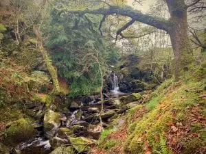 Cynwyd forest waterfall by the reservoir in ancient forest off grid sustainable eco glampsite and glamping
