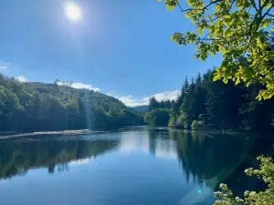 Cynwyd forest and the reservoir... off grid sustainable eco glampsite and glamping