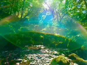 Green glade and gorge cynwyd ancient forest off grid sustainable eco glampsite and glamping