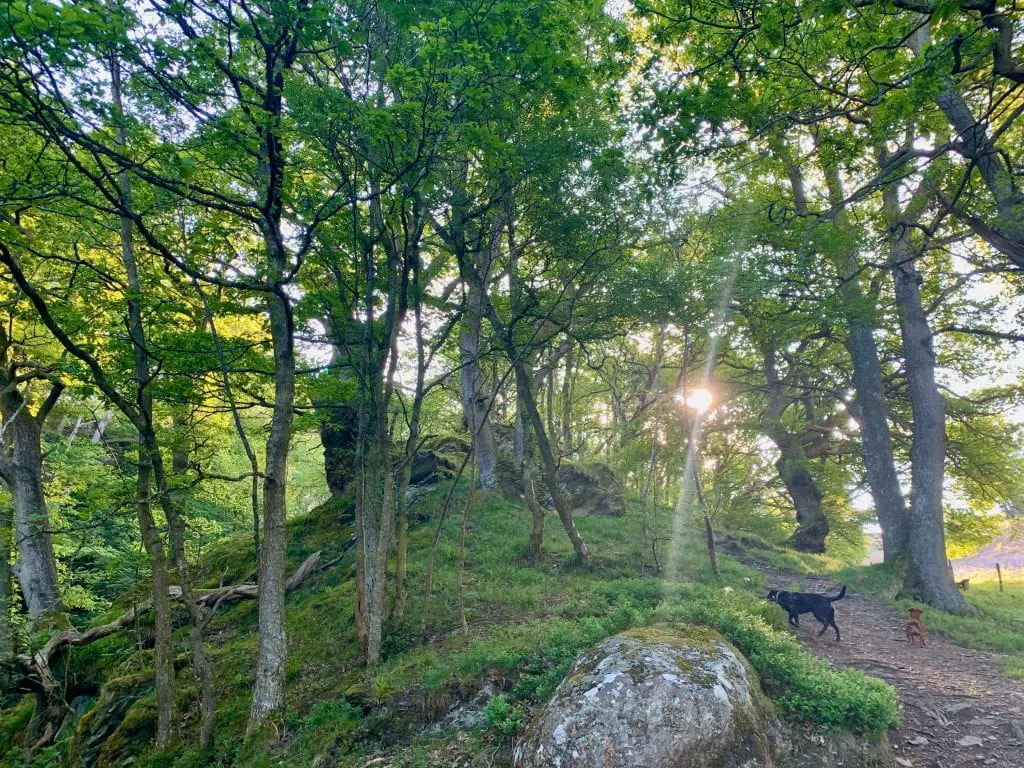 In the ancient cynwyd forest by the waterfall off grid sustainable eco glampsite and glamping