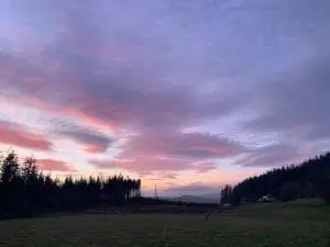 Pink purple blue sky at night.... off grid sustainable eco glampsite and glamping