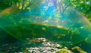 The ancient forest glade and gorge with waterfalls in cynwyd forest off grid sustainable eco glampsite and glamping