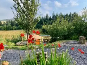 Ty crwn mawr yurt outside new cover 5 off grid sustainable eco glampsite and glamping