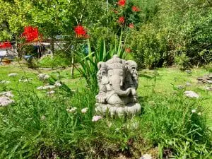 Greener glamping ganesha off grid sustainable eco glampsite and glamping