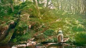 Small cynwyd ancient forest in the gorge above the waterfalls off grid sustainable eco glampsite and glamping