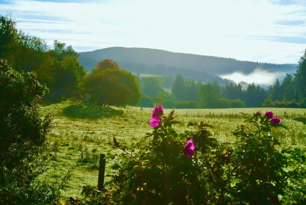 Wake up and smell the roses off grid sustainable eco glampsite and glamping