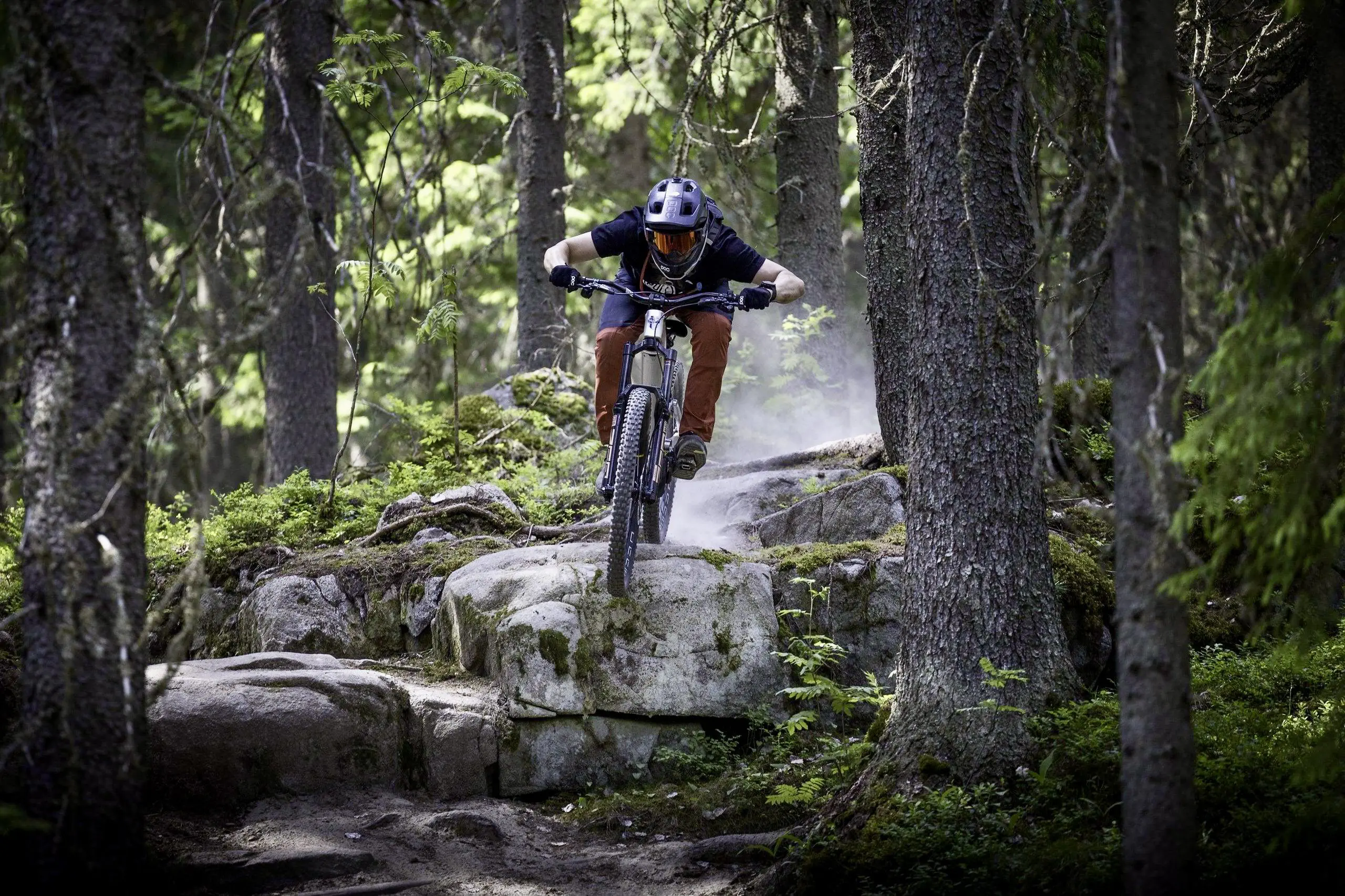 Mountain Biking in Eryri (Snowdonia), North Wales - Mountain Biker - Mountain biker riding a rocky downhill trail through a dense forest.