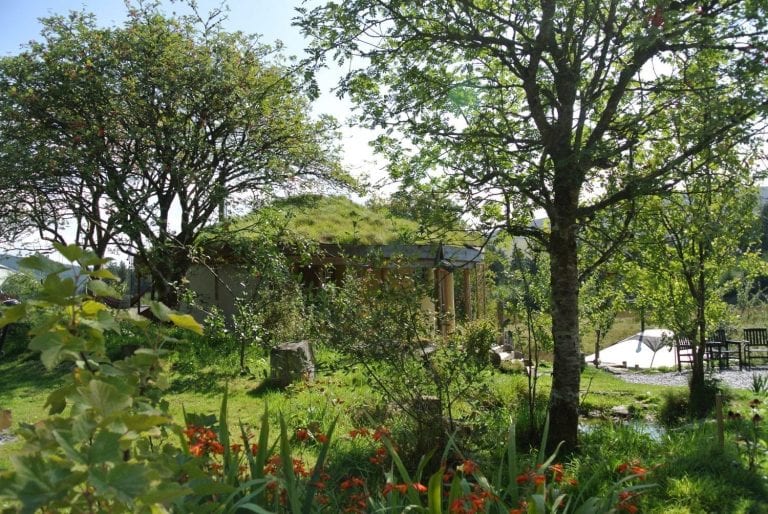 The straw bale roundhouse blending in nicely with nature at Ty Mam Mawr off grid eco retreat centre