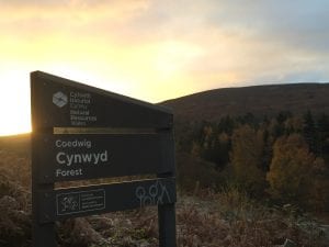 Cynwyd forest sign and moel henfaes off grid sustainable eco glampsite and glamping