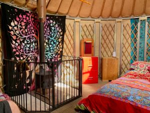 Ty crwn bach idris yurt inside 3 off grid sustainable eco glampsite and glamping